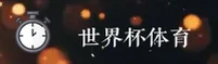 2026世界杯网投平台_官方正版_竞彩入口